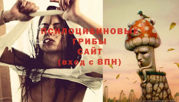тгк Абдулино