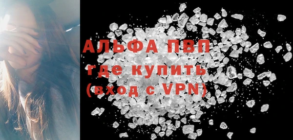прущие грибы Абаза