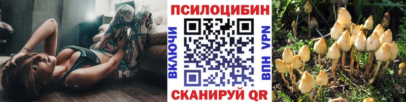 shop наркотические препараты Остров Галлюциногенные грибы GOLDEN TEACHER